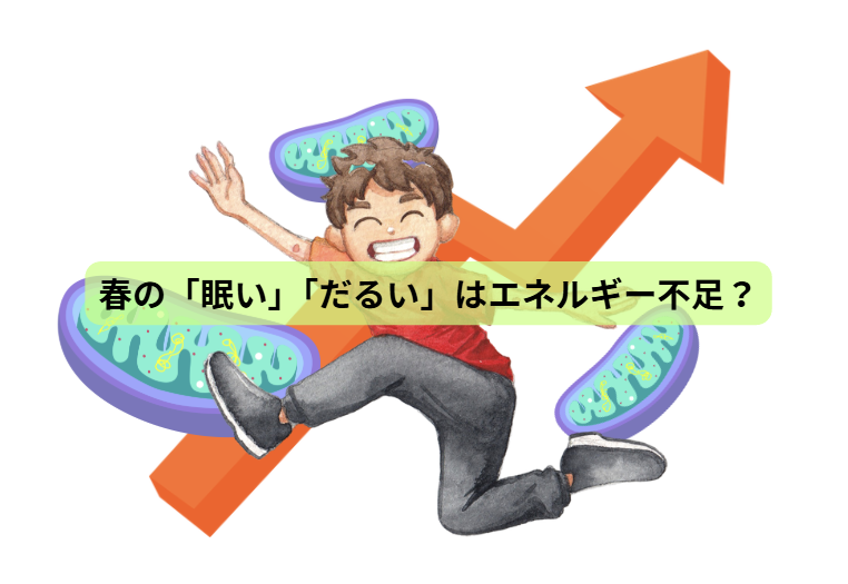 春なのに疲れる人へ その不調、実は栄養不足かもしれません 【第3回】 春の「眠い」「だるい」はエネルギー不足？