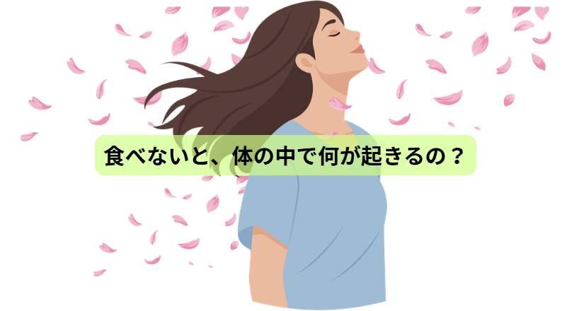 食べない時間が、体を変える？ファスティング×分子栄養学の新常識【第2回】 食べないと、体の中で何が起きるの？