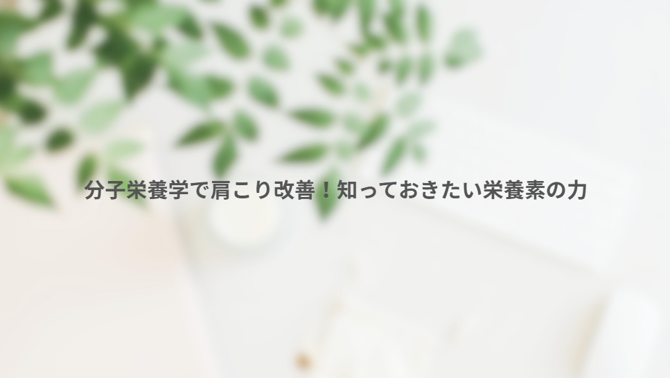 画像10908