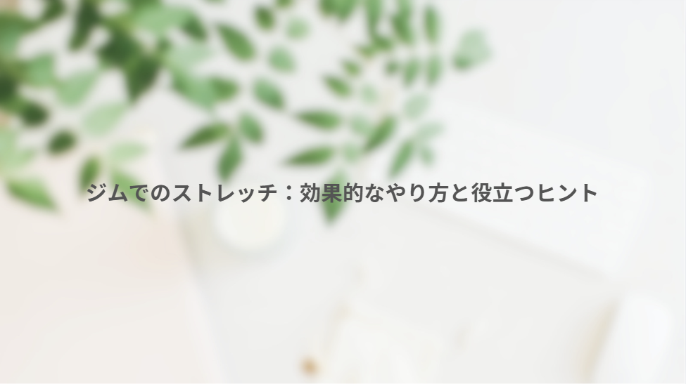 画像11054