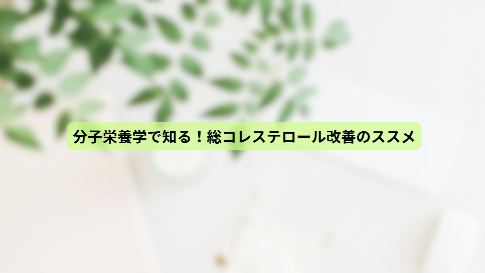 画像11082