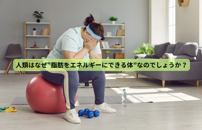 パレオ×ケト【第2回】 人類はなぜ“脂肪をエネルギーにできる体”なのでしょうか？