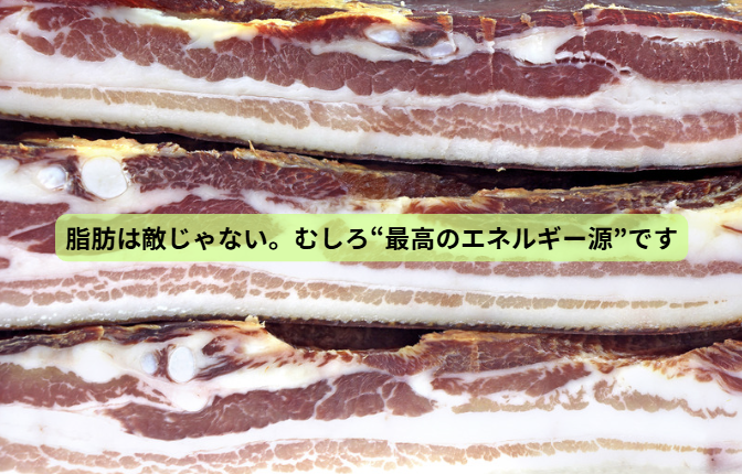 パレオ×ケト【第4回】 脂肪は敵じゃない。むしろ“最高のエネルギー源”です