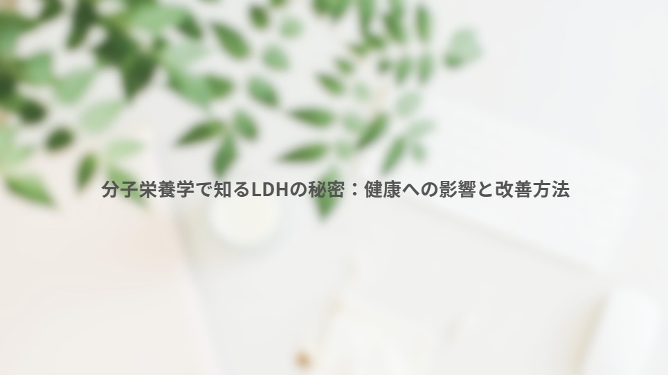 画像11252
