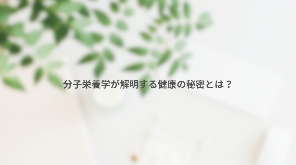 画像11424