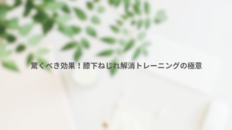 画像11452