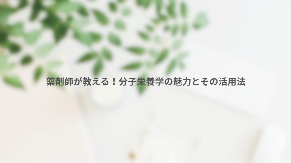 画像11538