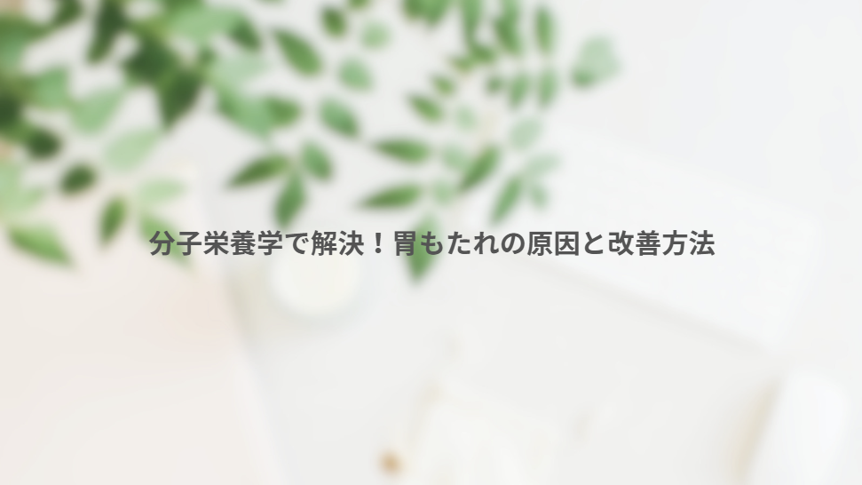 画像11596