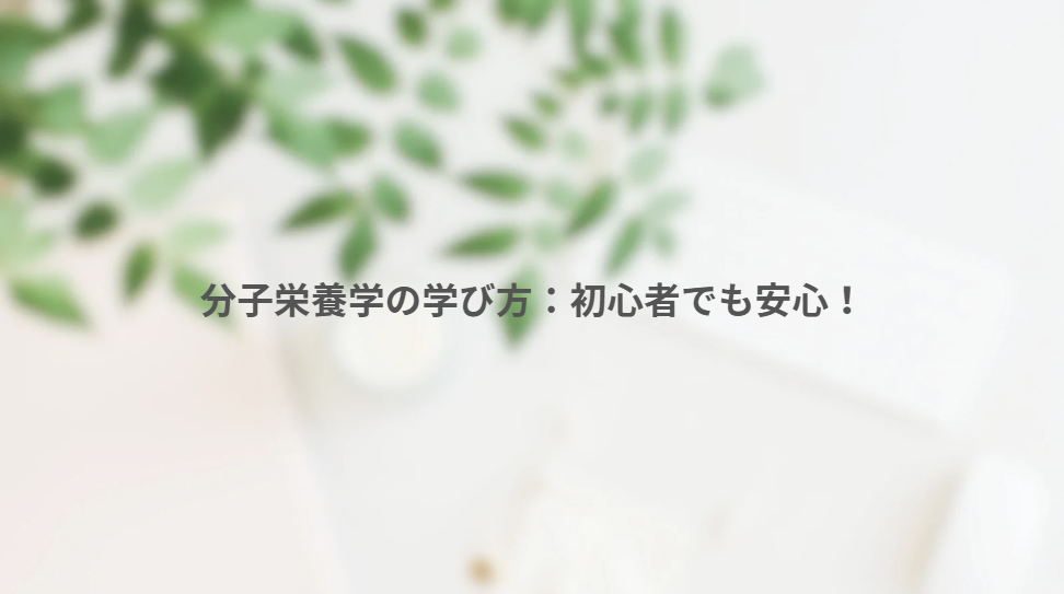 画像11652