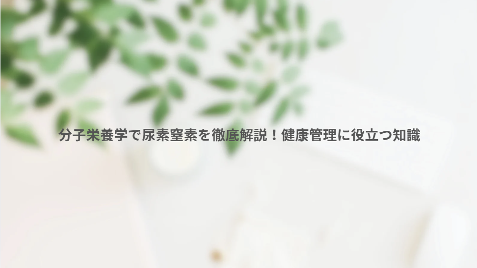 画像11878