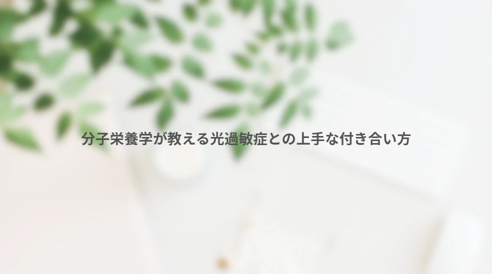 画像12048