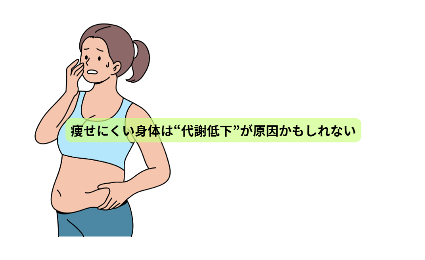 疲れやすい人ほど読んでほしい たんぱく質の話【第４回】   「痩せにくい身体は“代謝低下”が原因かもしれない」