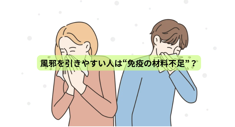 疲れやすい人ほど読んでほしい たんぱく質の話【第６回】 「風邪を引きやすい人は“免疫の材料不足”？」