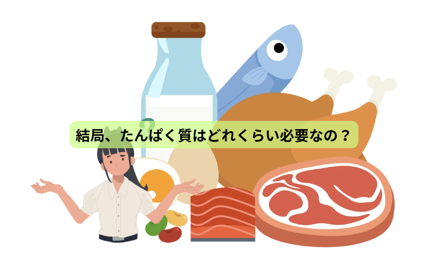 疲れやすい人ほど読んでほしい たんぱく質の話【第７回】 「結局、たんぱく質はどれくらい必要なの？」