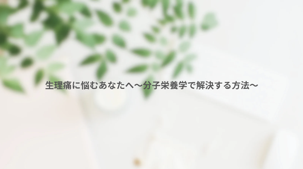 画像12330