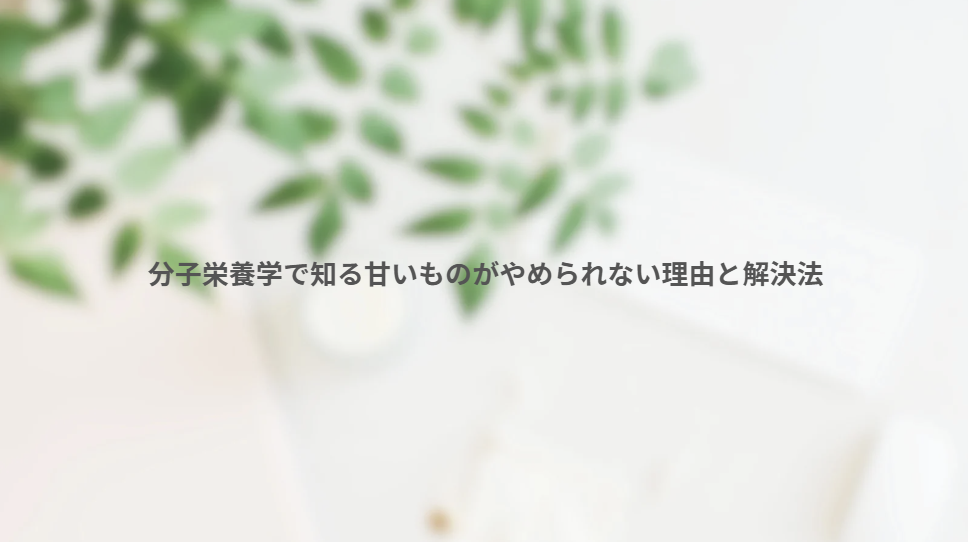 画像12411