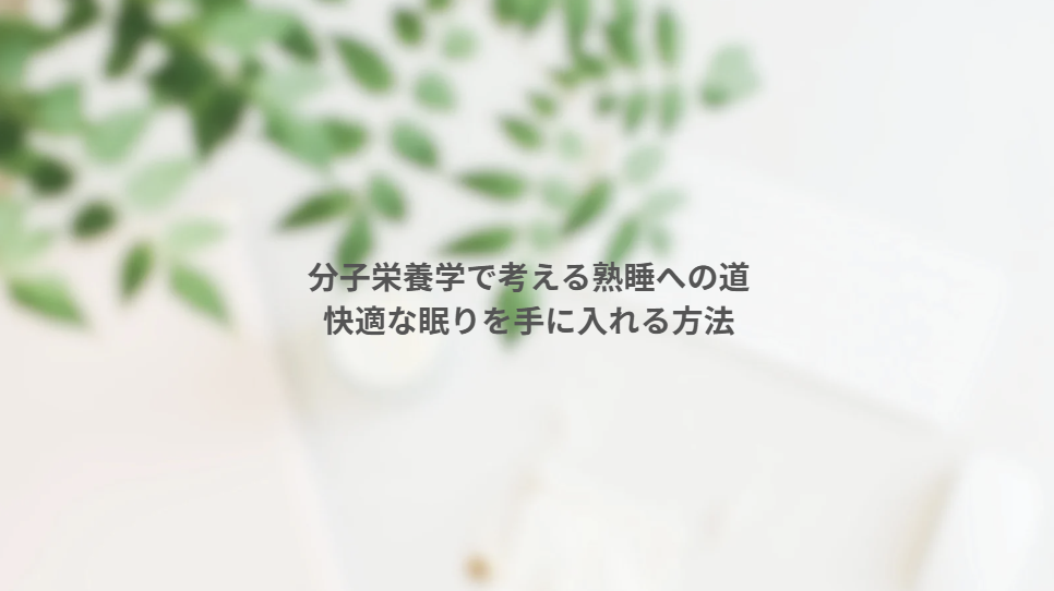 画像12809