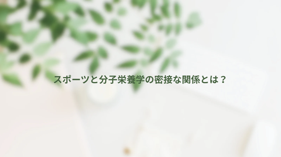 画像12978