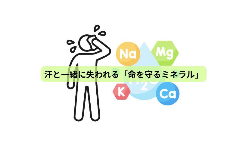 熱中症のはなし【第２回】　汗と一緒に失われる「命を守るミネラル」
