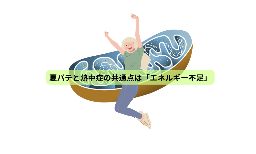 熱中症のはなし【第３回】　夏バテと熱中症の共通点は「エネルギー不足」