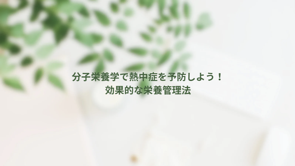 画像13036