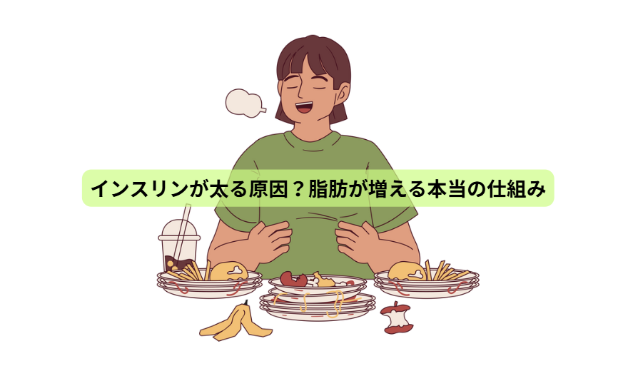 インスリンのはなし【第３回】　インスリンが太る原因？脂肪が増える本当の仕組み