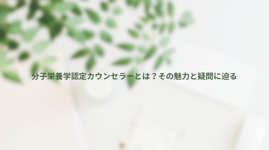 画像13262