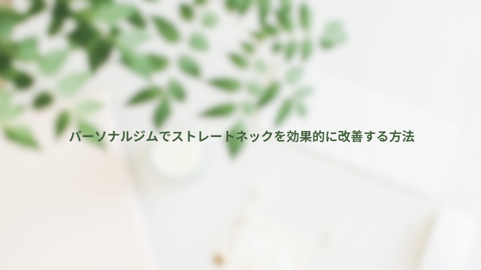 画像13290