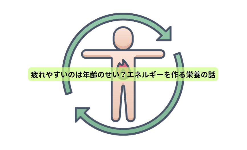 分子栄養学とは？【第２回】　疲れやすいのは年齢のせい？エネルギーを作る栄養の話