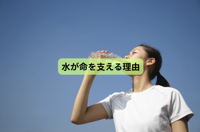 体の中から健康をつくる“水”の話【第1回】　水が命を支える理由