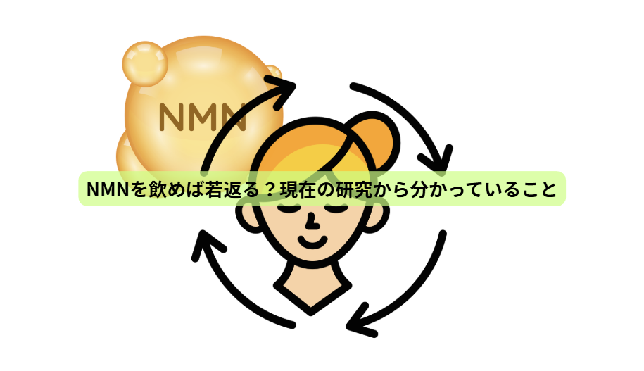 NMNのはなし【第４回】　NMNを飲めば若返る？現在の研究から分かっていること