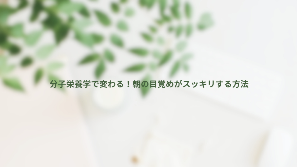 画像13962