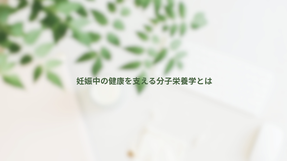 画像14020
