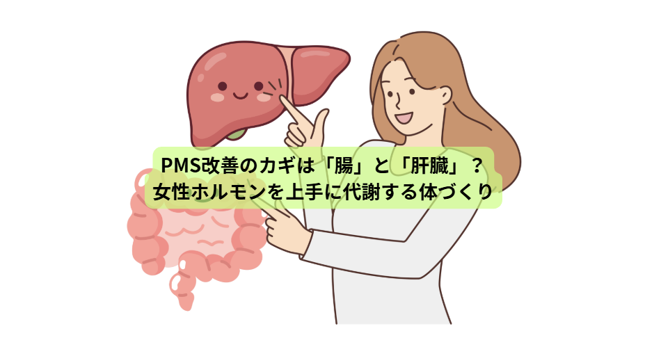 PMSのはなし【第５回】PMS改善のカギは「腸」と「肝臓」？女性ホルモンを上手に代謝する体づくり