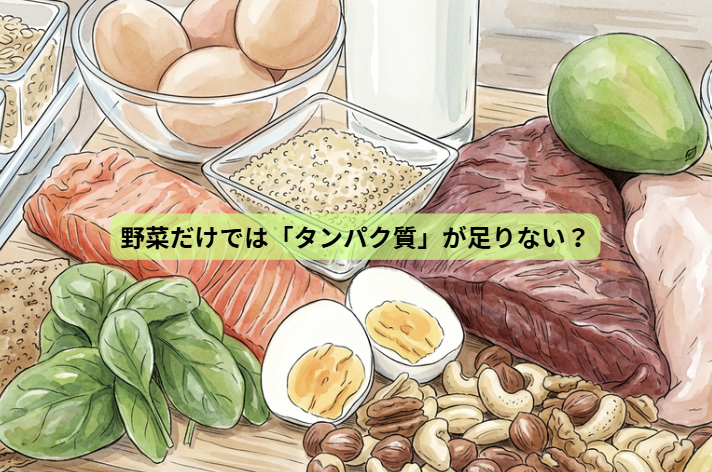 野菜だけで健康になれると思っていませんか？【第２回】野菜だけでは「タンパク質」が足りない？