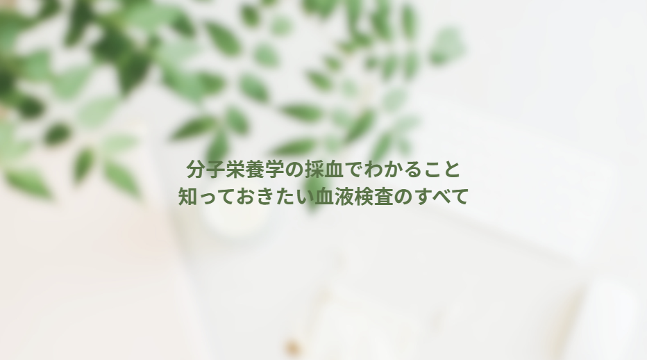 画像14529