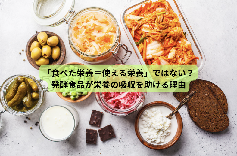 発酵食品のはなし【第４回】「食べた栄養＝使える栄養」ではない？発酵食品が栄養の吸収を助ける理由