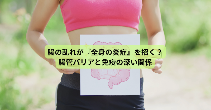 発酵食品のはなし【第５回】腸の乱れが『全身の炎症』を招く？腸管バリアと免疫の深い関係