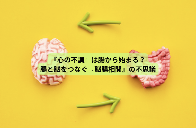 発酵食品のはなし【第６回】『心の不調』は腸から始まる？腸と脳をつなぐ『脳腸相関』の不思議