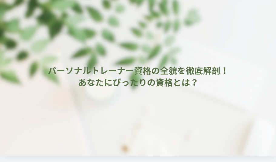 画像14781