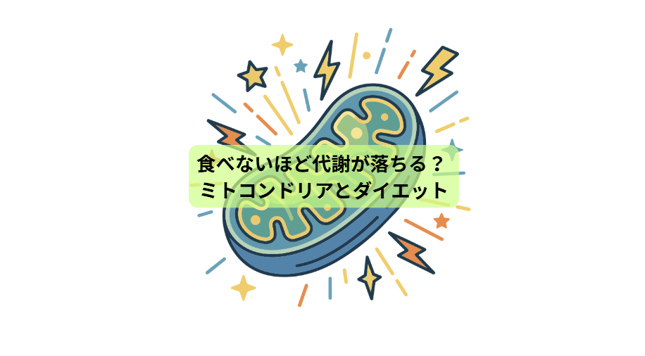 「痩せるために、食べない」はもうやめませんか？ ― 栄養を満たして体脂肪を減らす7日間【第４回】食べないほど代謝が落ちる？             ミトコンドリアとダイエット