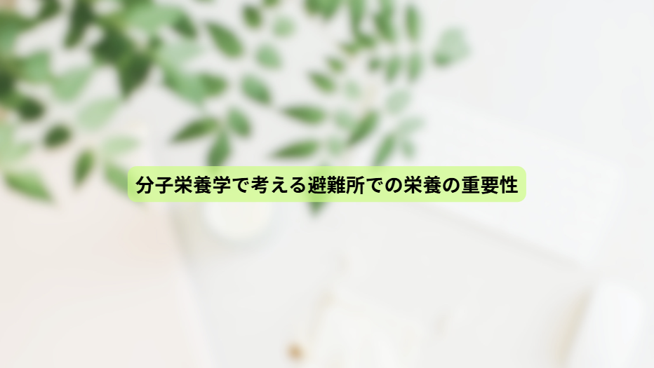 画像15058
