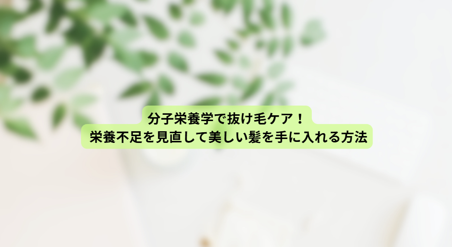 画像15116