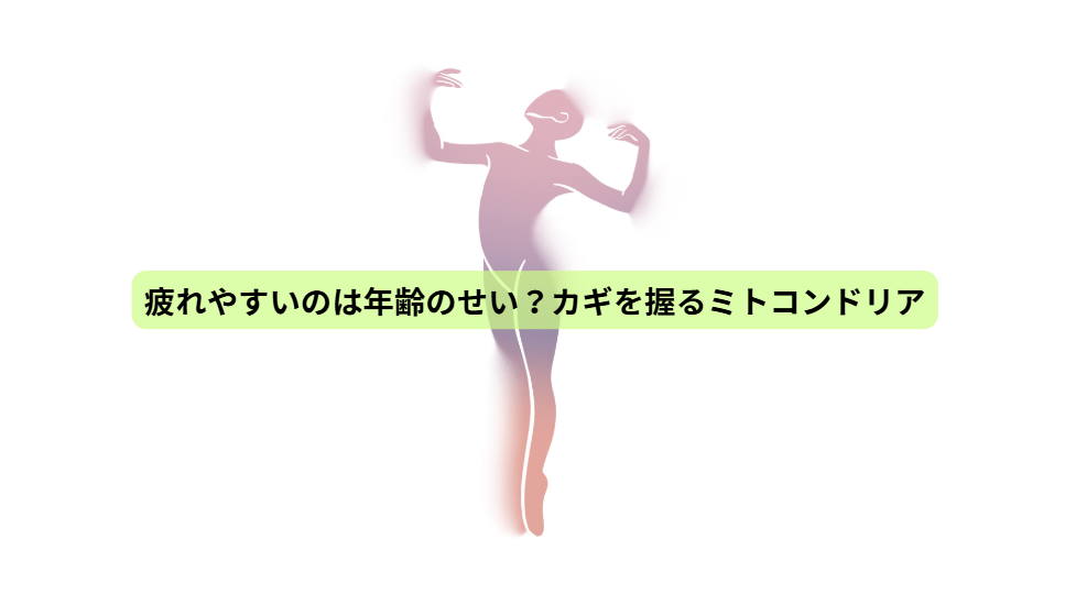 健康をつくる7日間【第３回】疲れやすいのは年齢のせい？カギを握るミトコンドリア
