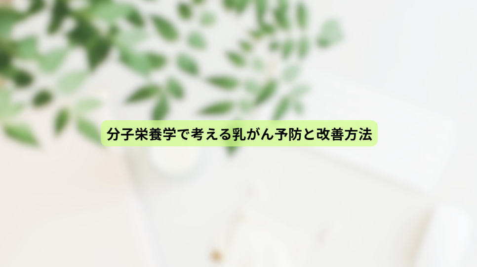 画像15506
