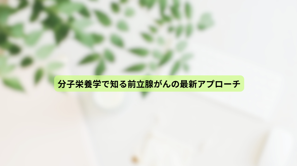 画像15562