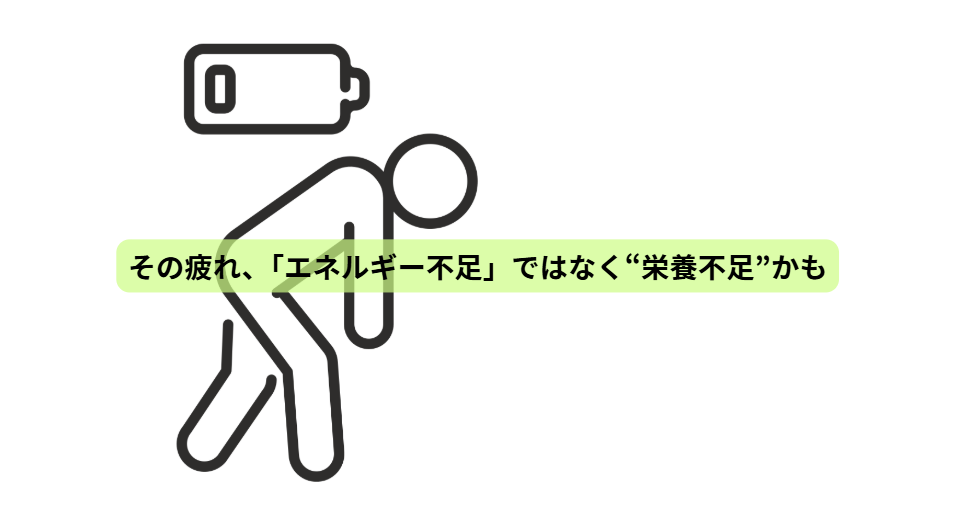 その食事、本当にあなたの体を満たしていますか？             【第３回】その疲れ、「エネルギー不足」ではなく“栄養不足”かも