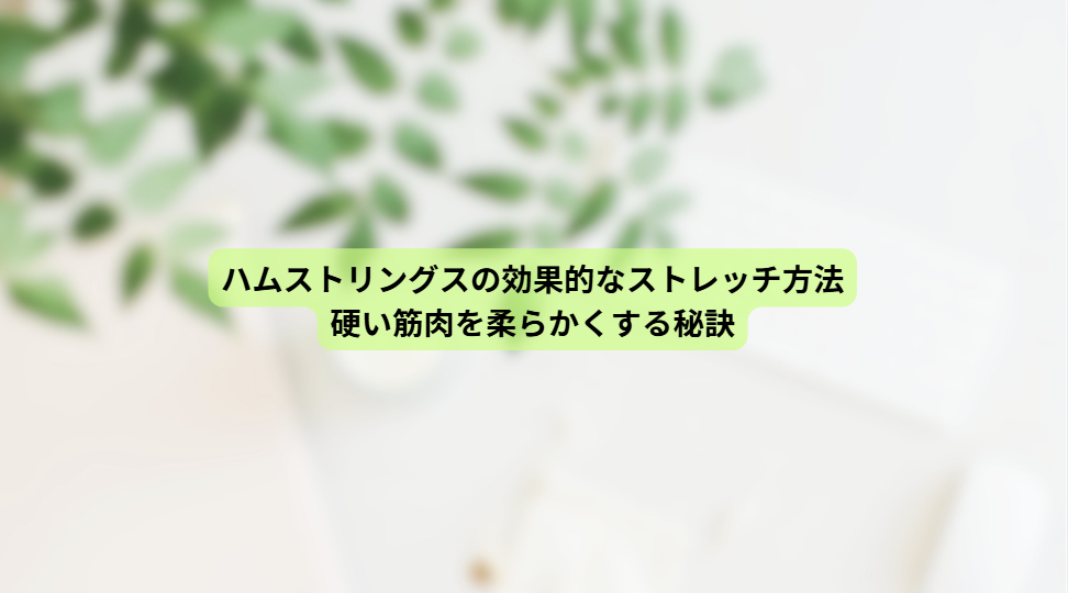 画像15648