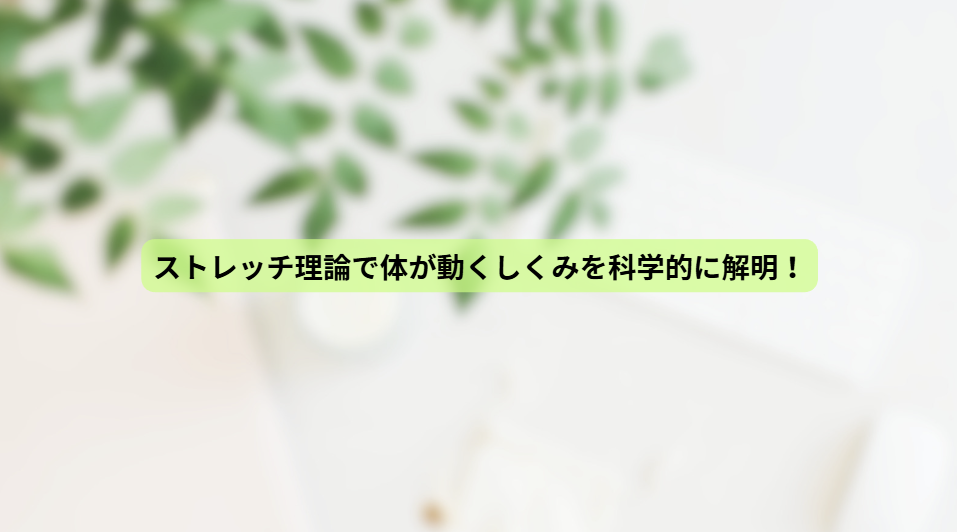 画像15842