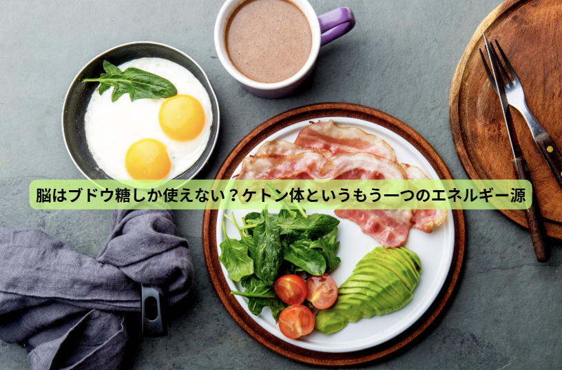 食事で守る、未来の脳【第４回】脳はブドウ糖しか使えない？ケトン体というもう一つのエネルギー源